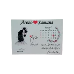 شاسی 20 در 30