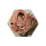 پازل شش ضلعی